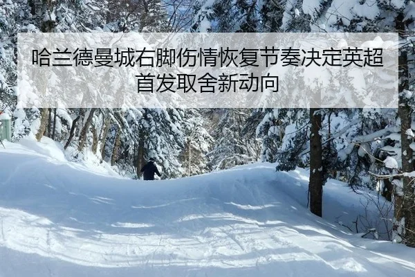 ha-lan-de-man-cheng-you-jiao-shang-qing-hui-fu-jie-zou-jue-ding-ying-chao-shou-fa-qu-she-xin-dong-xiang-2-613.jpg